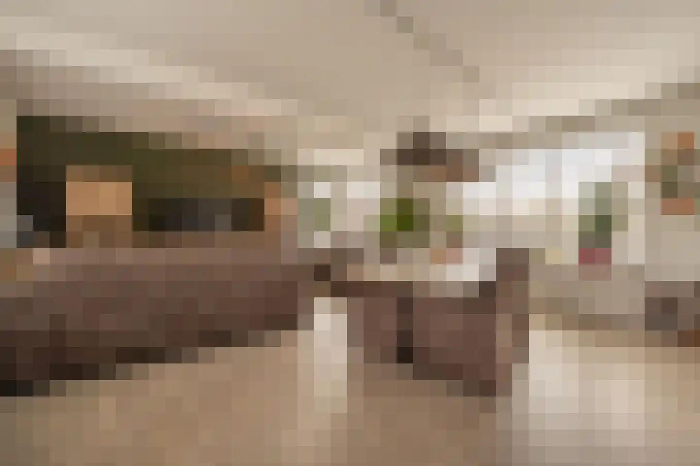 Julianastraat 18 Numansdorp thumbnail 4