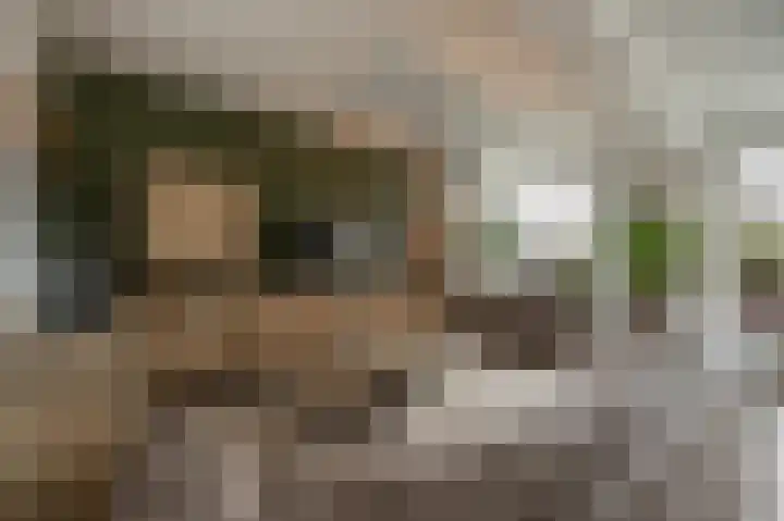 Julianastraat 18 Numansdorp thumbnail 5