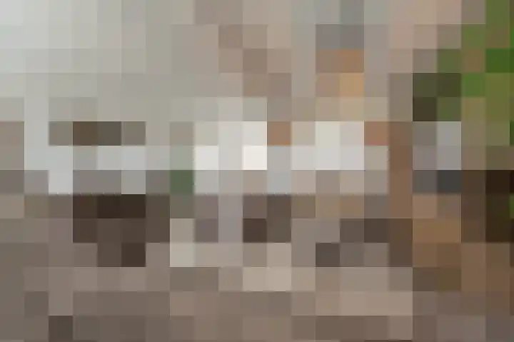 Julianastraat 18 Numansdorp thumbnail 7