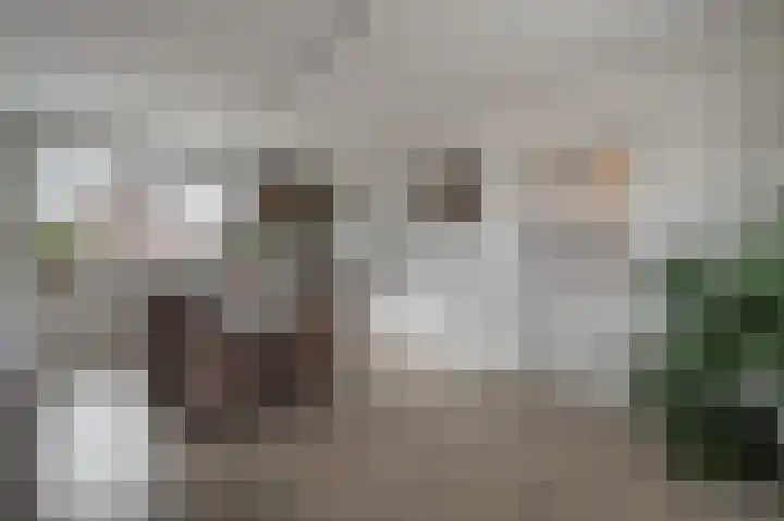 Julianastraat 18 Numansdorp thumbnail 8
