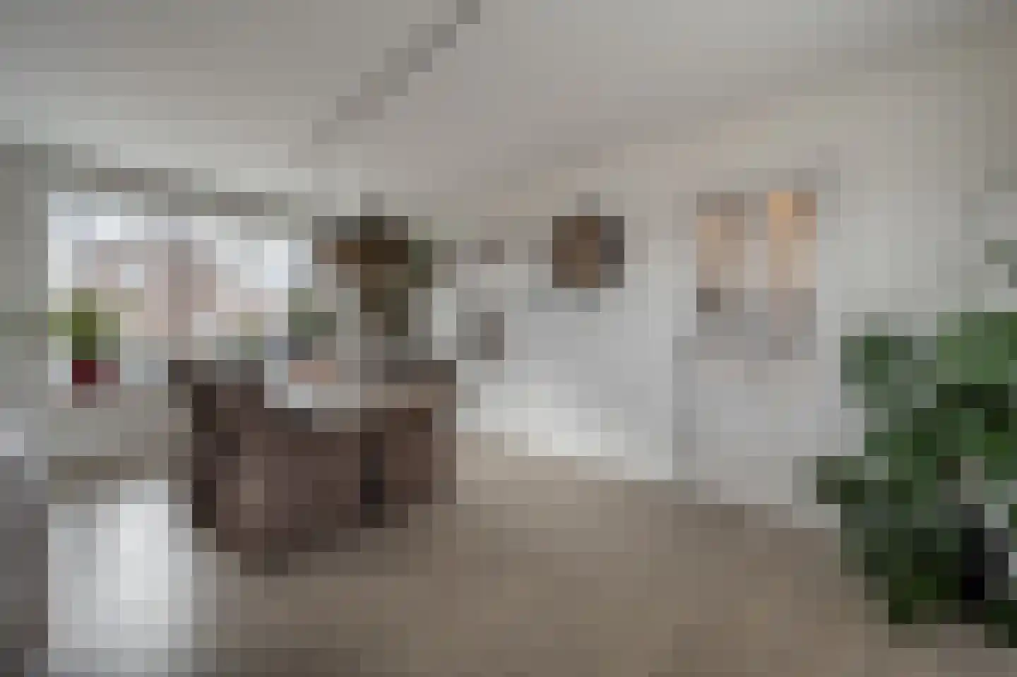 Julianastraat 18 Numansdorp thumbnail 8