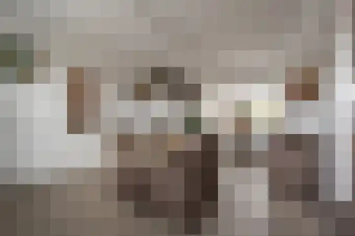 Julianastraat 18 Numansdorp thumbnail 9