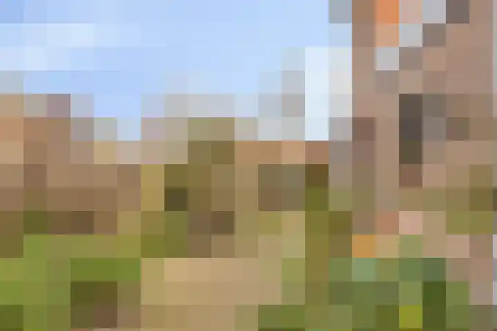 Julianastraat 18 Sint-Annaland thumbnail 23