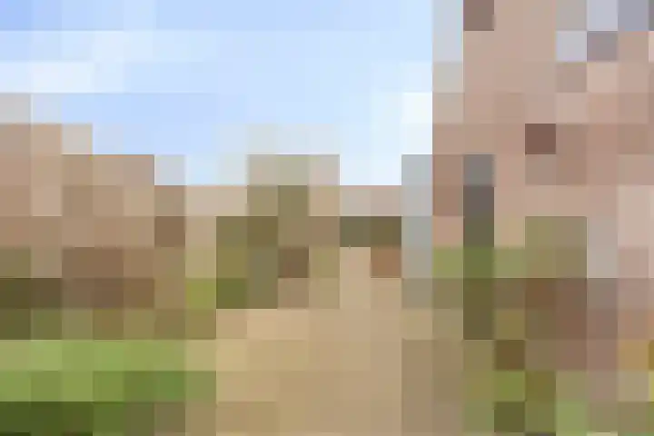 Julianastraat 18 Sint-Annaland thumbnail 27