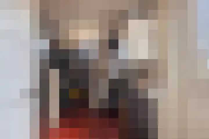 Julianastraat 18 Steenwijk thumbnail 18