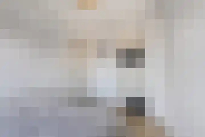 Julianastraat 18 Steenwijk thumbnail 21