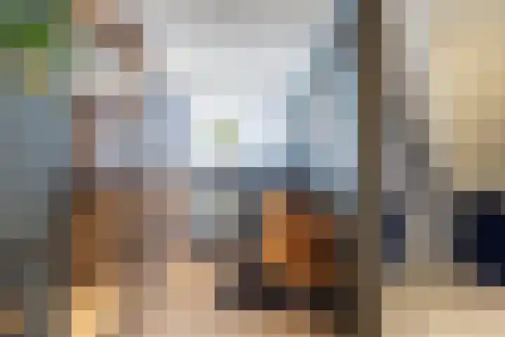 Julianastraat 18 Steenwijk thumbnail 22