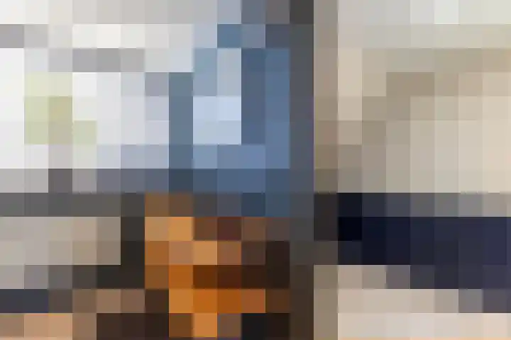 Julianastraat 18 Steenwijk thumbnail 24