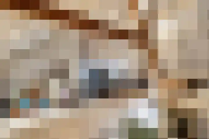 Julianastraat 18 Steenwijk thumbnail 28