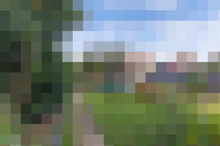 Julianastraat 18 Steenwijk thumbnail 30