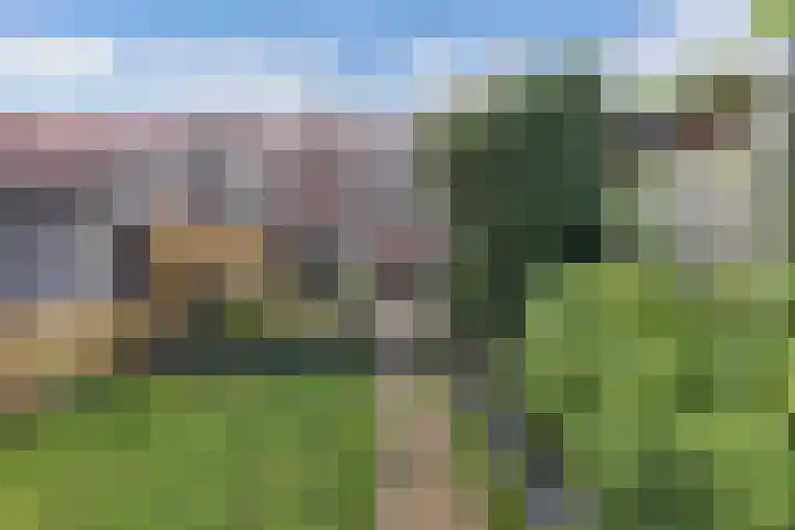 Julianastraat 18 Steenwijk thumbnail 32
