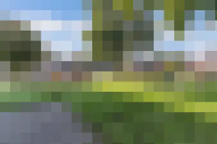 Julianastraat 18 Steenwijk thumbnail 40