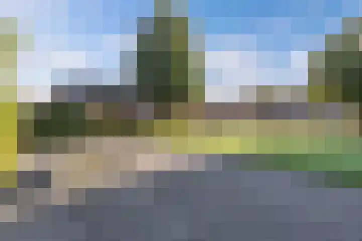 Julianastraat 18 Steenwijk thumbnail 41