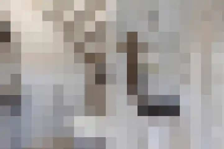 Julianastraat 18 Steenwijk thumbnail 5