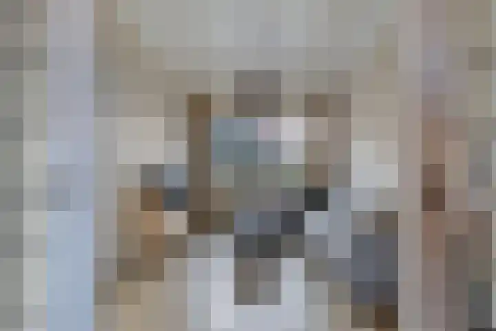 Julianastraat 18 Steenwijk thumbnail 7