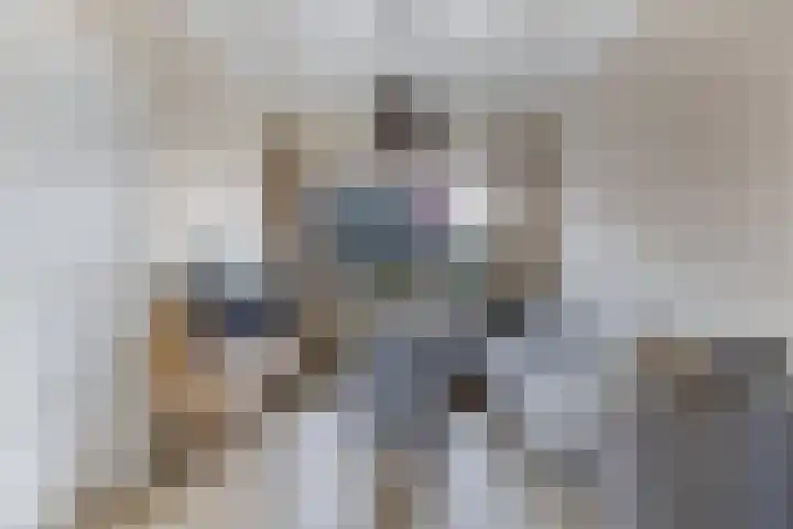 Julianastraat 18 Steenwijk thumbnail 8