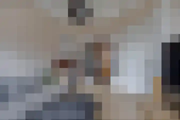 Julianastraat 18 Steenwijk thumbnail 9