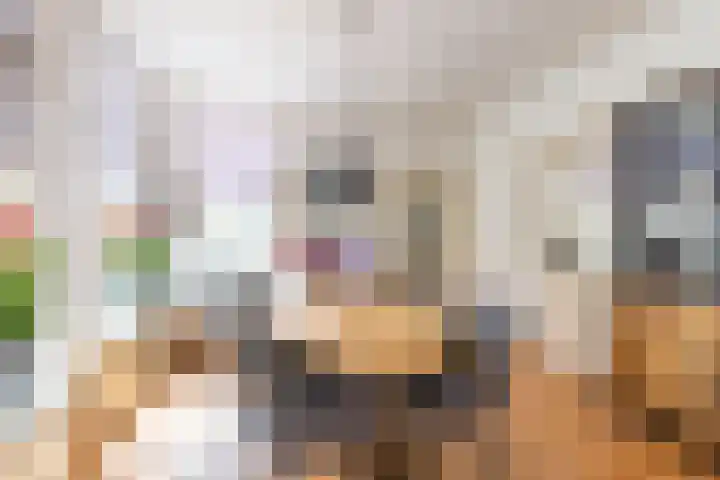 Julianastraat 187 Hoogezand thumbnail 16