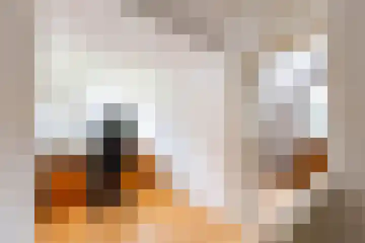 Julianastraat 187 Hoogezand thumbnail 22