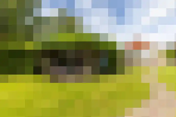 Julianastraat 187 Hoogezand thumbnail 46