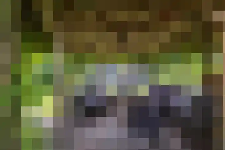 Julianastraat 187 Hoogezand thumbnail 47