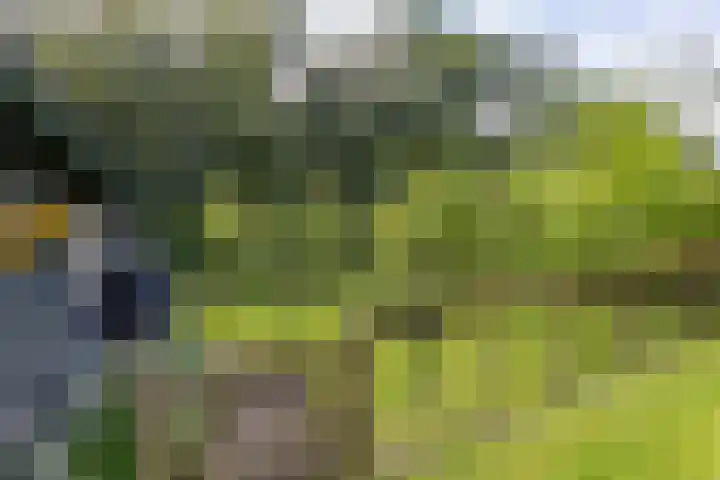 Julianastraat 187 Hoogezand thumbnail 50