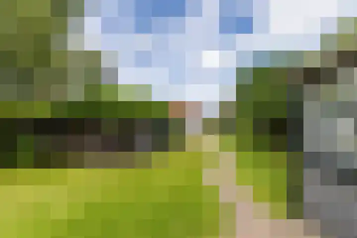 Julianastraat 187 Hoogezand thumbnail 55