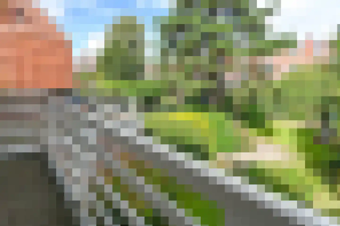 Julianastraat 19 Haarlem thumbnail 26