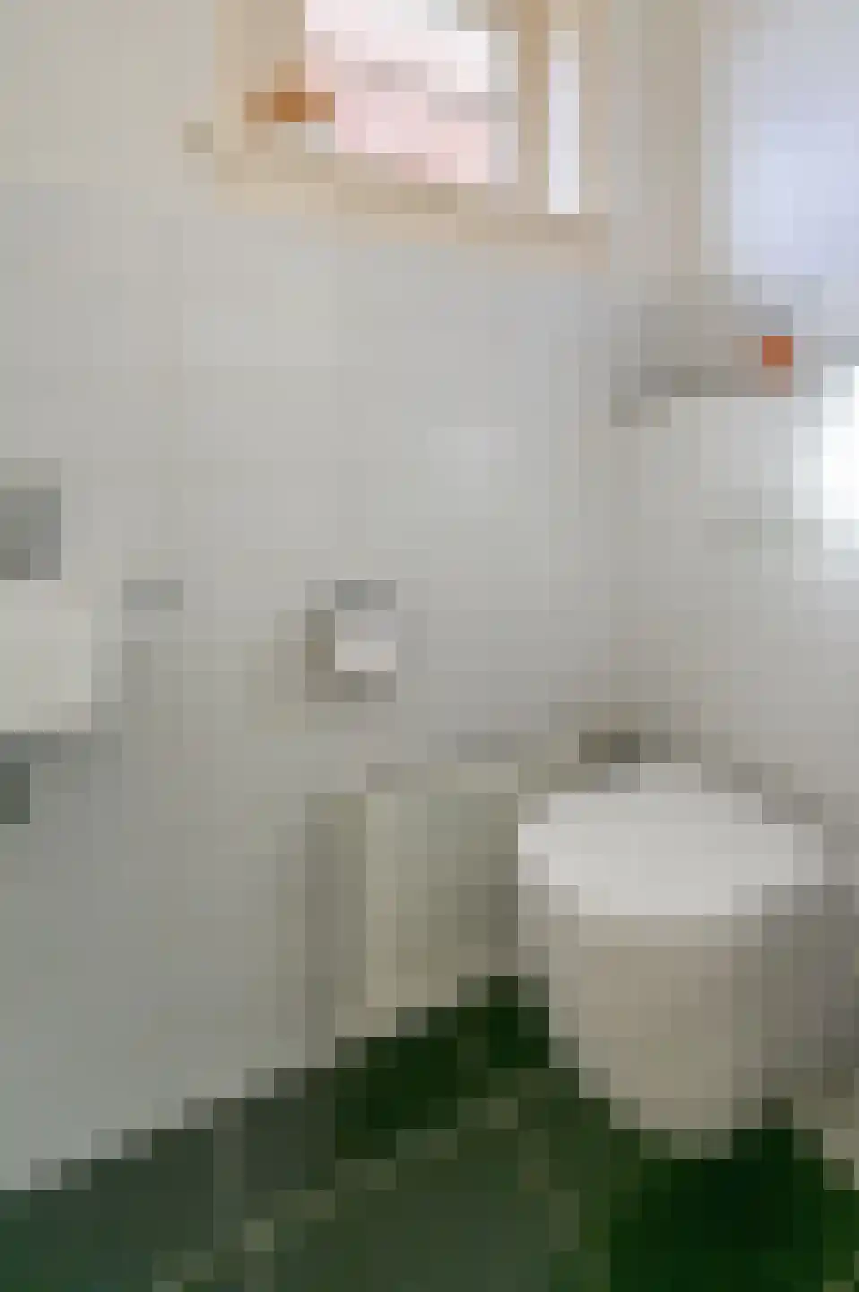 Julianastraat 19 Haarlem thumbnail 31