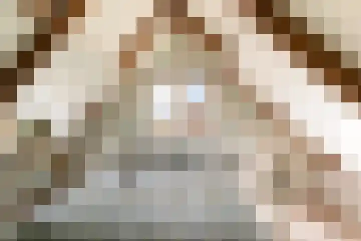 Julianastraat 19 Moerkapelle thumbnail 18