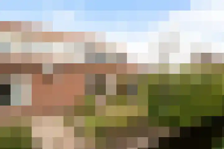 Julianastraat 19 Moerkapelle thumbnail 4