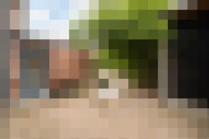 Julianastraat 19 Moerkapelle thumbnail 5