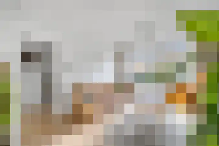 Julianastraat 19 Oudenhoorn thumbnail 11