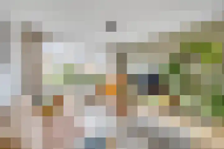 Julianastraat 19 Oudenhoorn thumbnail 12