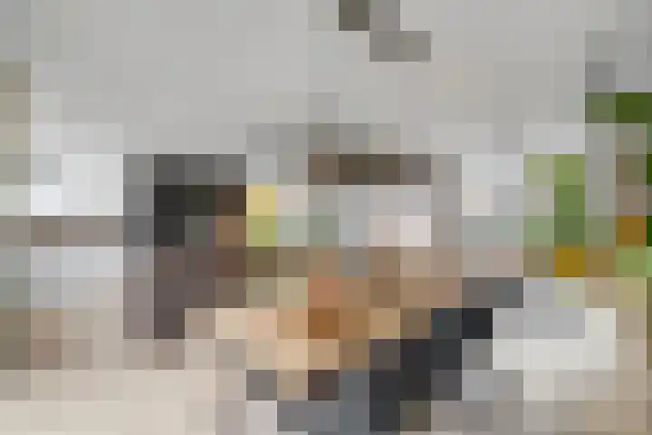 Julianastraat 19 Oudenhoorn thumbnail 16
