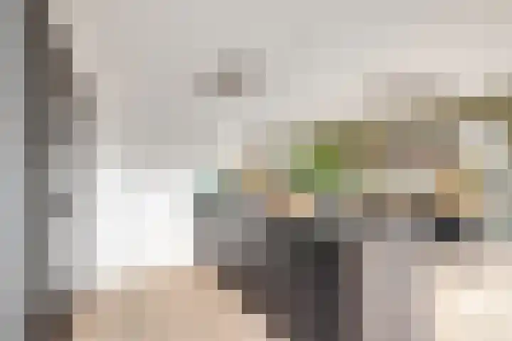 Julianastraat 19 Oudenhoorn thumbnail 18