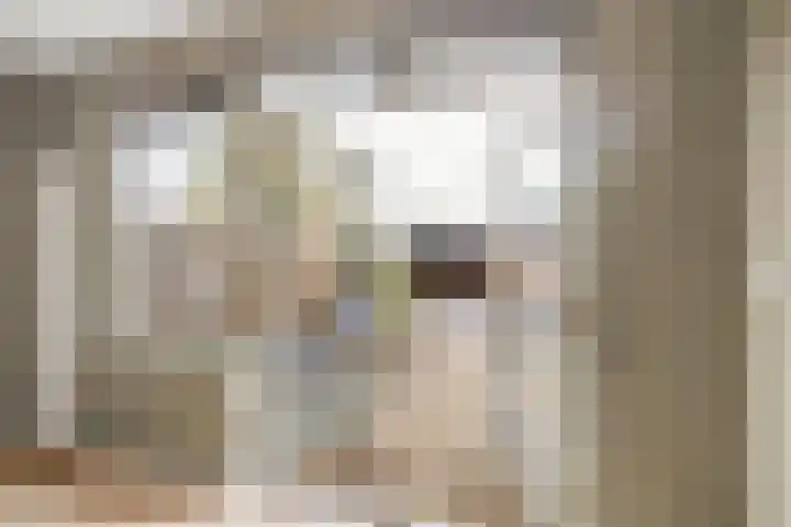 Julianastraat 19 Oudenhoorn thumbnail 19