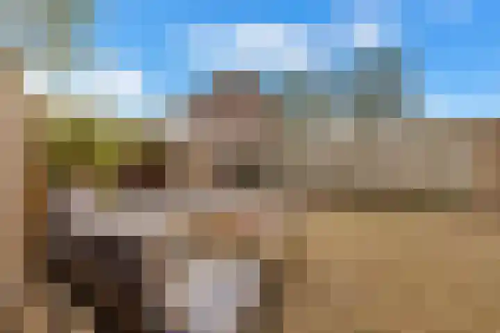 Julianastraat 19 Oudenhoorn thumbnail 20