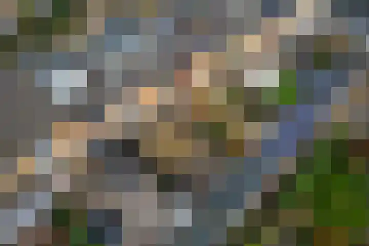 Julianastraat 19 Oudenhoorn thumbnail 24