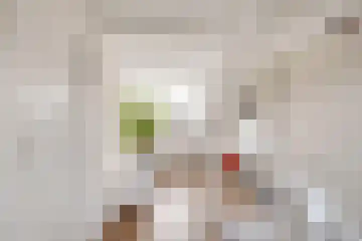 Julianastraat 19 Oudenhoorn thumbnail 36