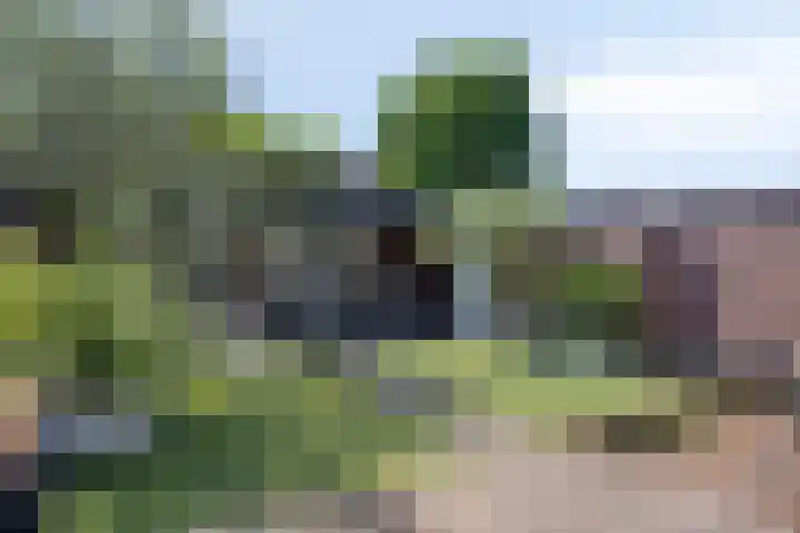 Julianastraat 2 a Boxmeer thumbnail 17