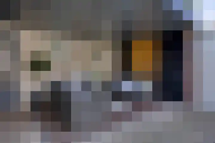 Julianastraat 2 a Boxmeer thumbnail 18