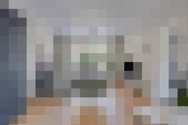 Julianastraat 2 a Boxmeer thumbnail 5