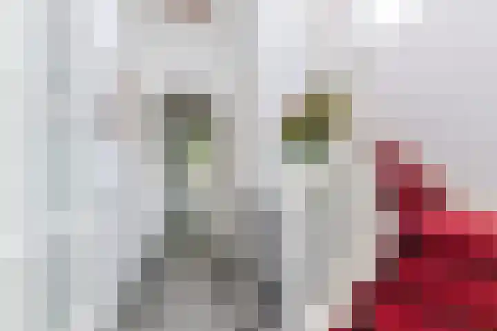 Julianastraat 2 A Dongen thumbnail 10