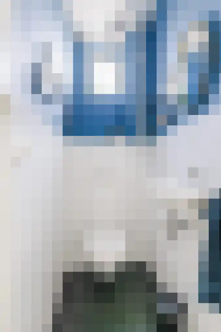 Julianastraat 2 A Dongen thumbnail 21