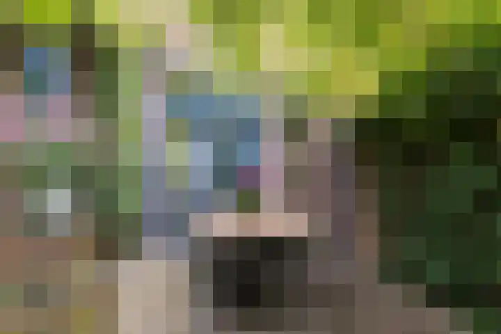 Julianastraat 2 A Dongen thumbnail 32
