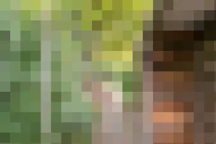 Julianastraat 2 A Dongen thumbnail 36