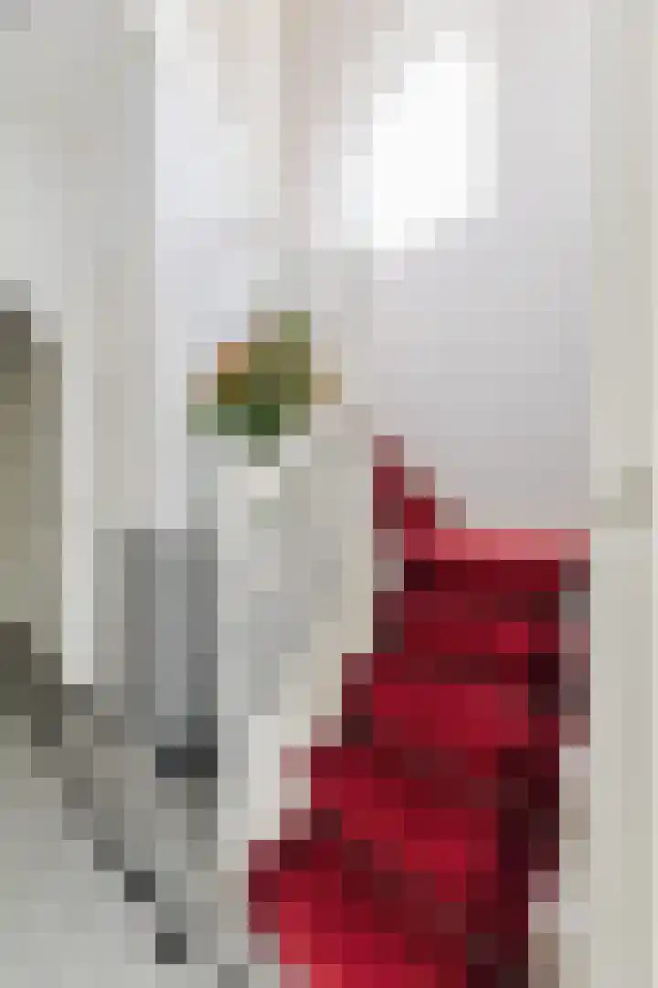 Julianastraat 2 A Dongen thumbnail 4