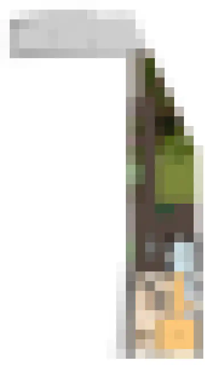Julianastraat 2 A Dongen thumbnail 42
