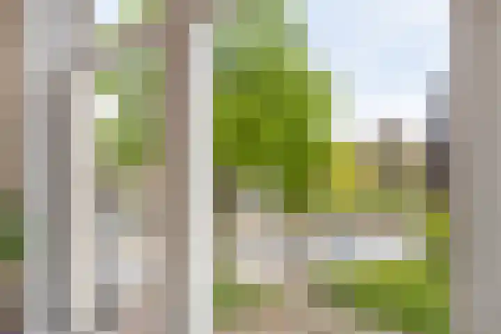 Julianastraat 2 A Leiden thumbnail 13